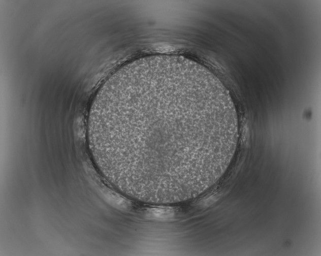 X0000114990317200912071122