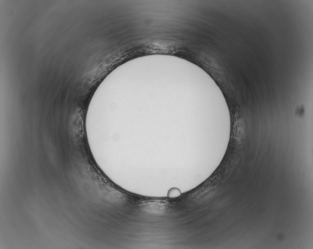 X0000114990318200912071122