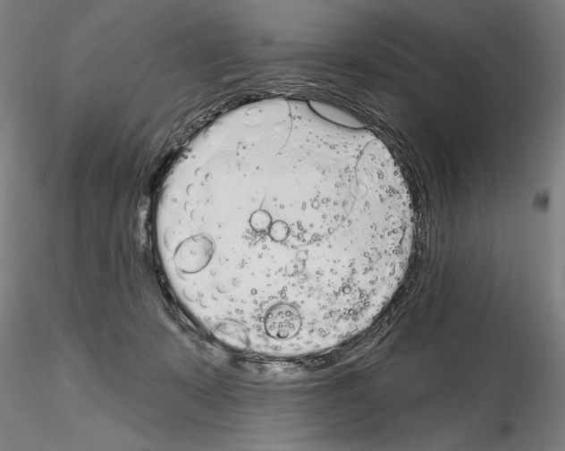 X0000114990319200912071122