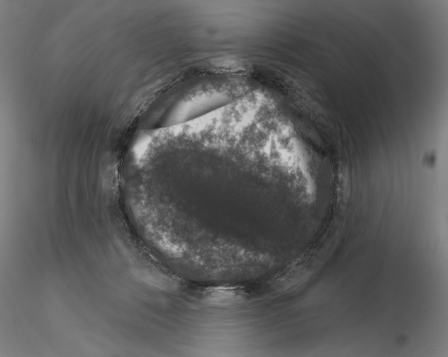 X0000114990320200912071122