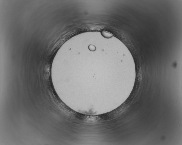 X0000114990321200912071122