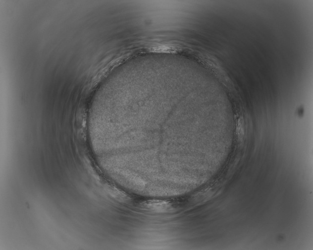 X0000114990322200912071122