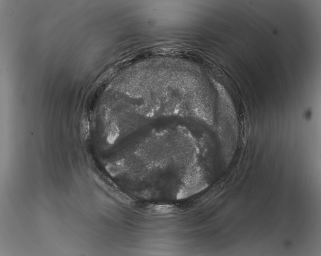 X0000114990324200912071122