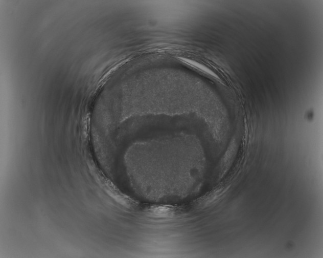 X0000114990325200912071122