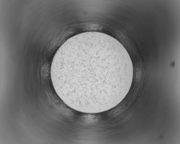 X0000114990326200912071122