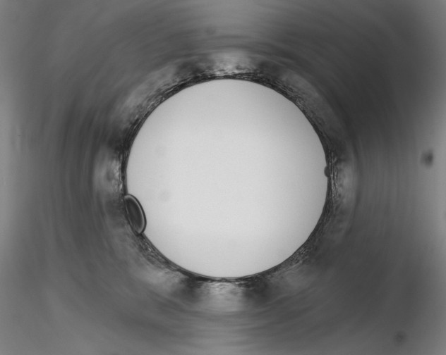 X0000114990327200912071122