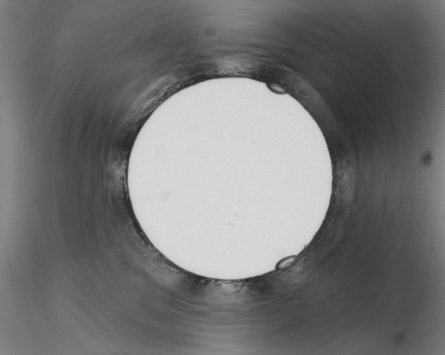 X0000114990329200912071122