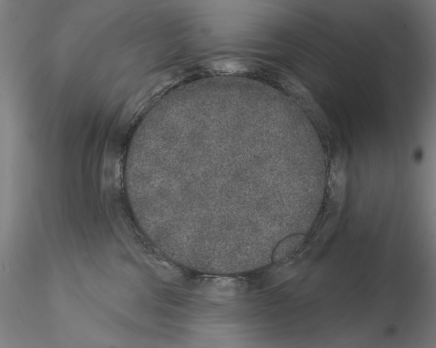 X0000114990330200912071122