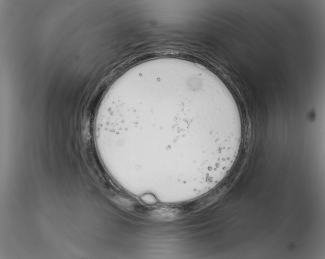 X0000114990331200912071122