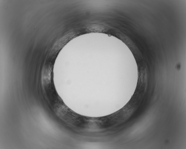 X0000114990334200912071122