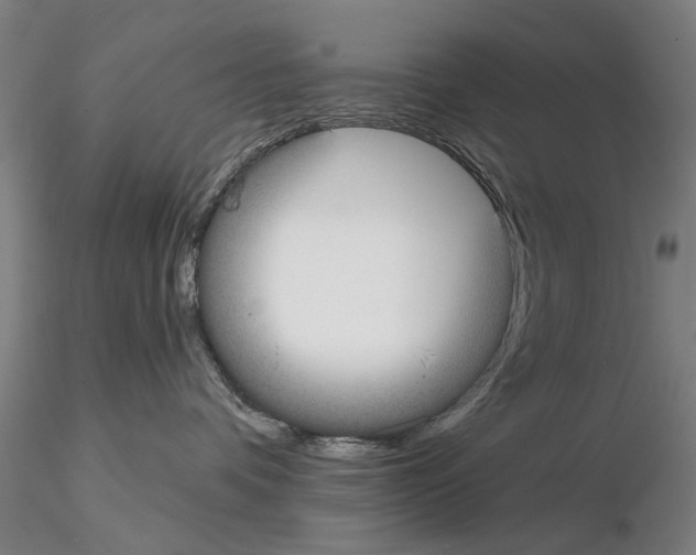 X0000114990336200912071122