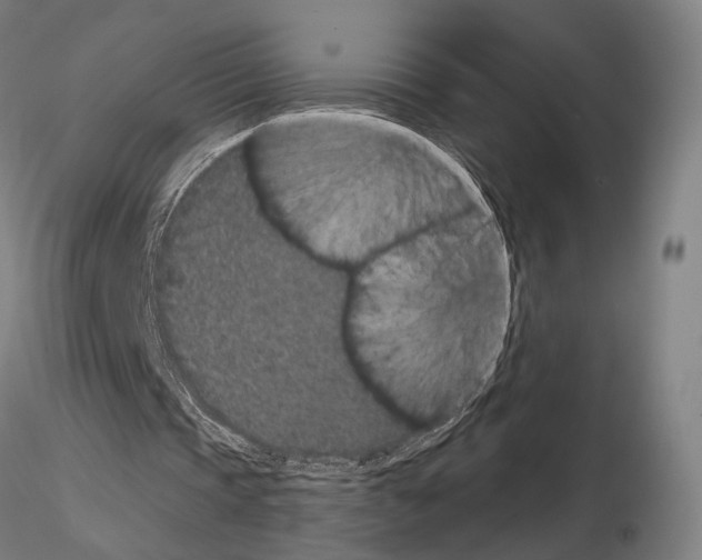 X0000114990337200912071121