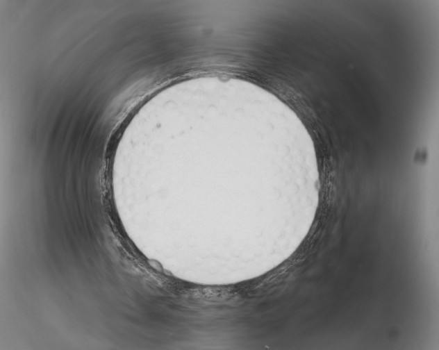 X0000114990338200912071121