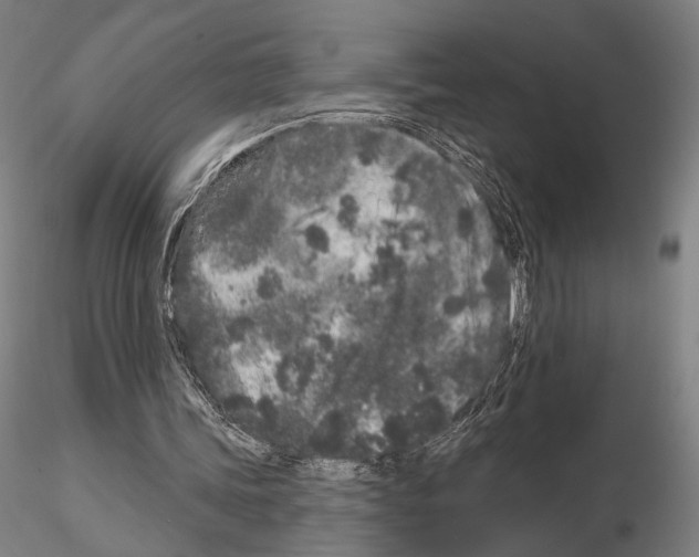 X0000114990339200912071121