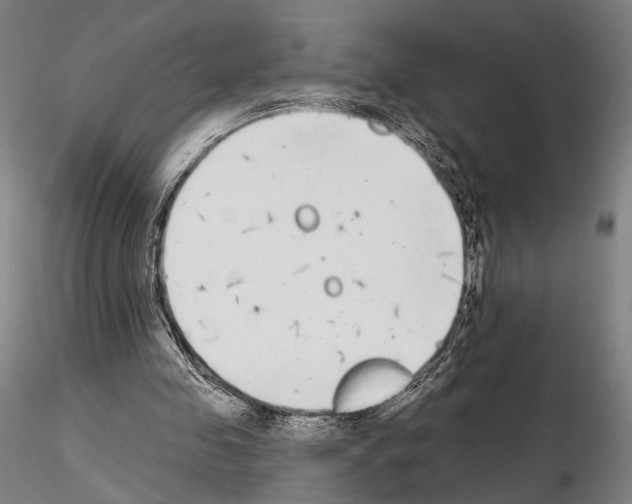 X0000114990341200912071121