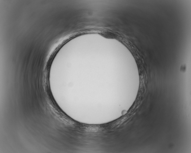 X0000114990342200912071121