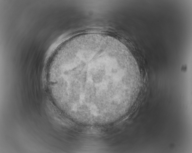 X0000114990343200912071121