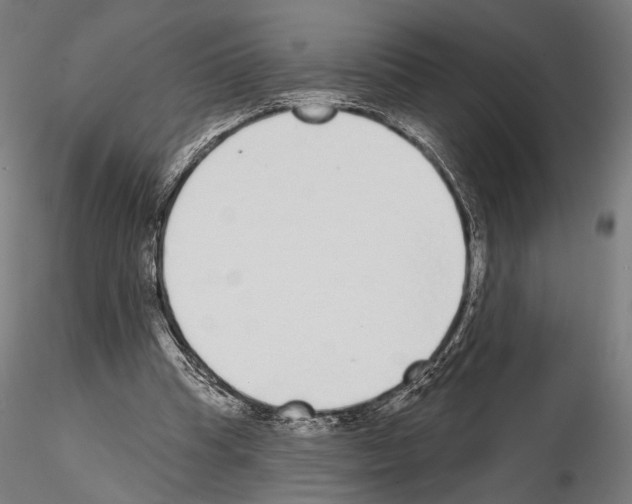 X0000114990345200912071121