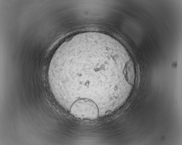 X0000114990347200912071122