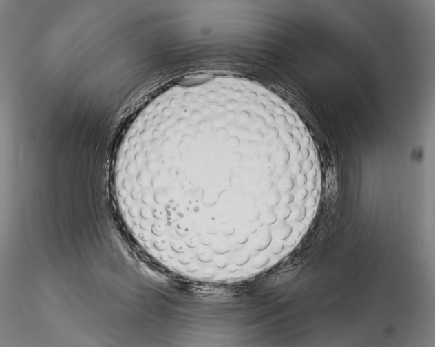 X0000114990349200912071122