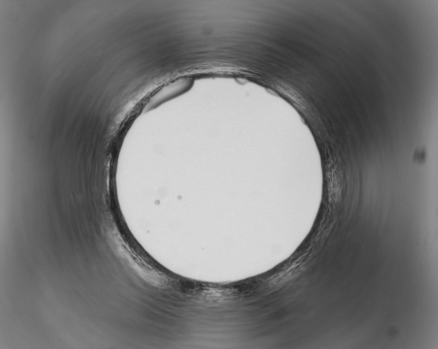 X0000114990350200912071122