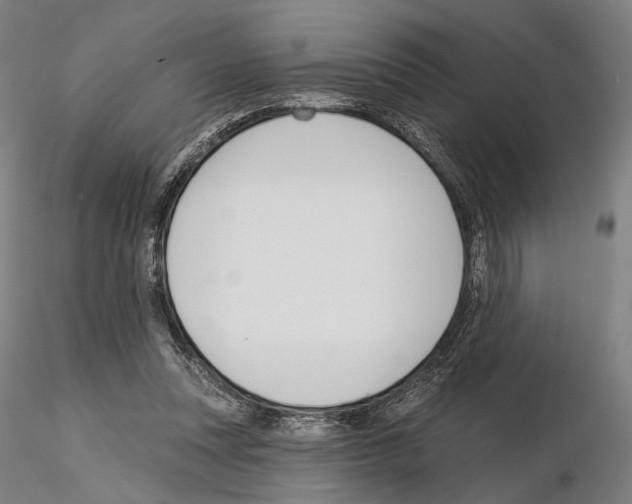 X0000114990351200912071122