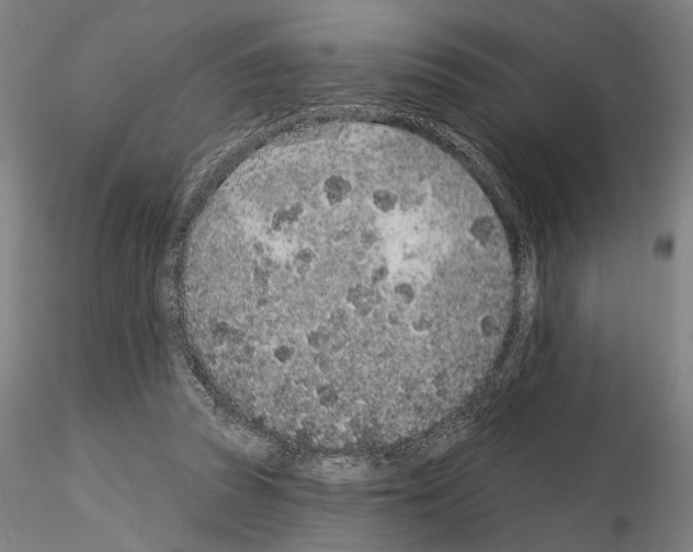 X0000114990353200912071122