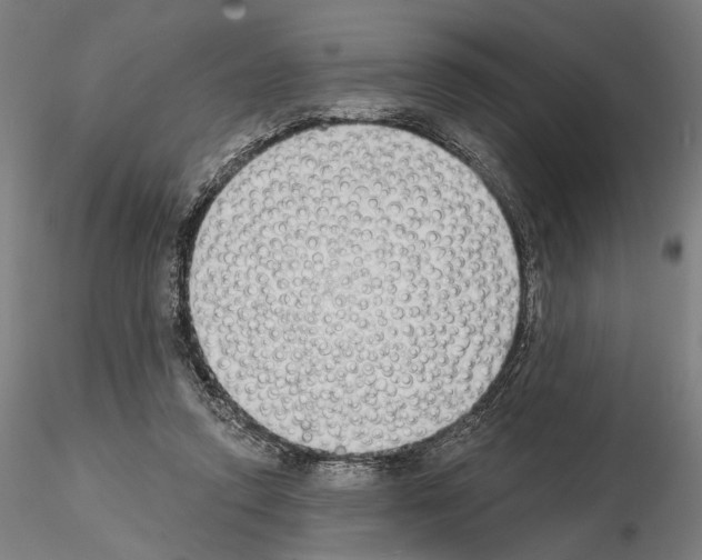 X0000114990354200912071122