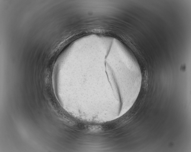 X0000114990355200912071122