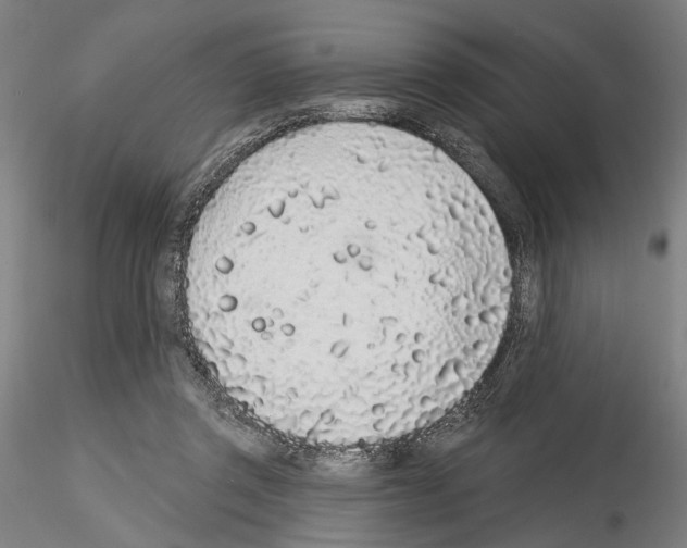 X0000114990357200912071122