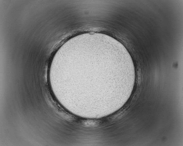 X0000114990358200912071122