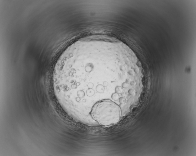 X0000114990359200912071122