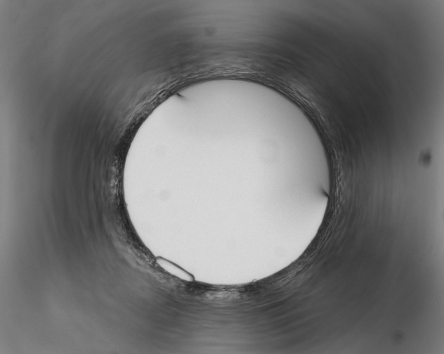 X0000114990362200912071122