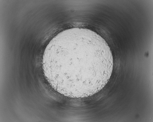 X0000114990367200912071122