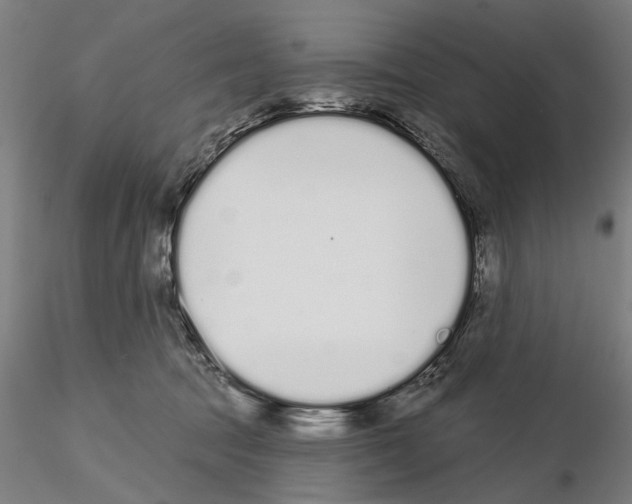 X0000114990369200912071122