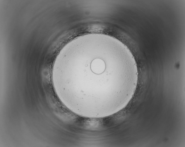 X0000114990370200912071122