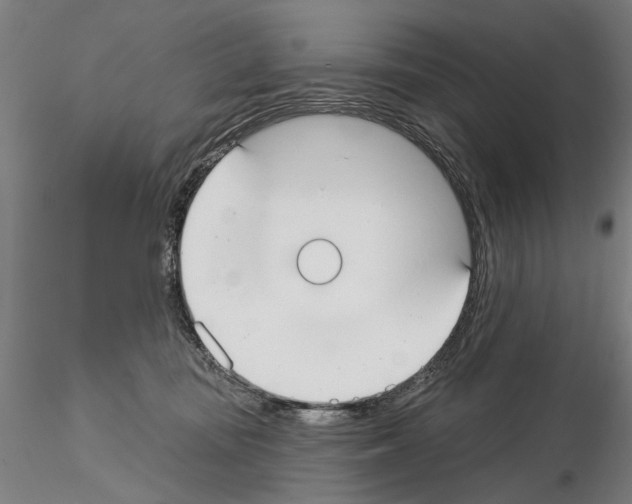 X0000114990371200912071122