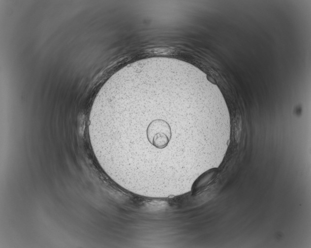 X0000114990374200912071122