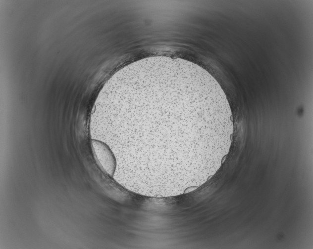 X0000114990381200912071122