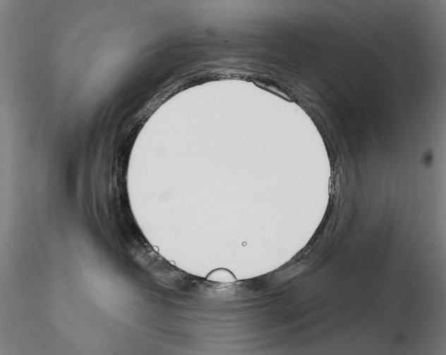 X0000114990382200912071122