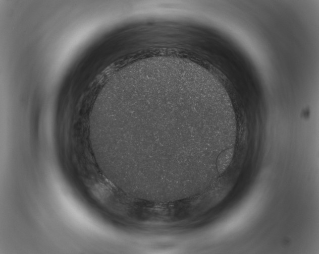 X0000114990383200912071122