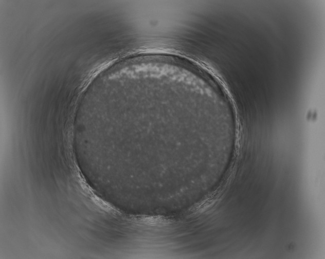 X0000114990385200912071121