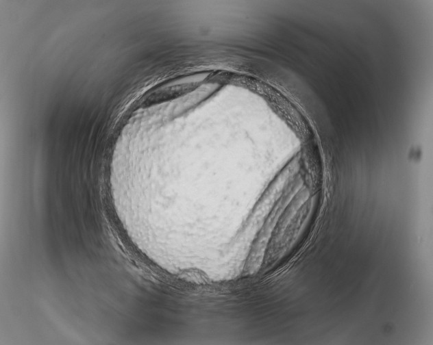 X0000114990386200912071121