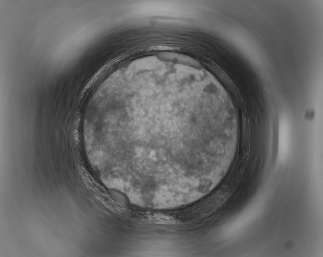 X0000114990387200912071121