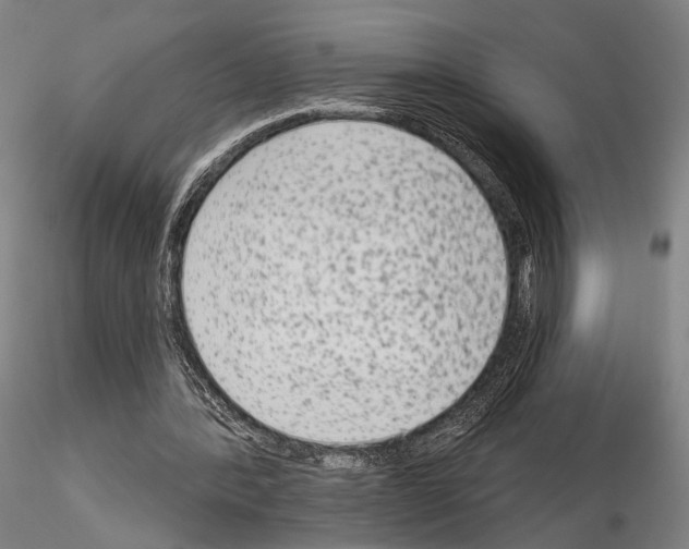 X0000114990388200912071121