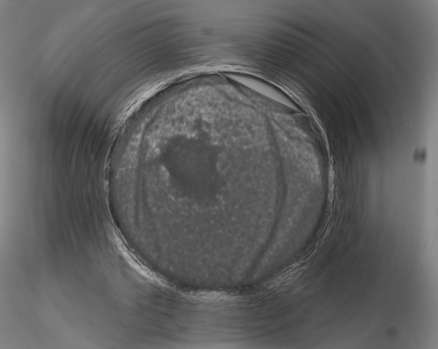 X0000114990389200912071121