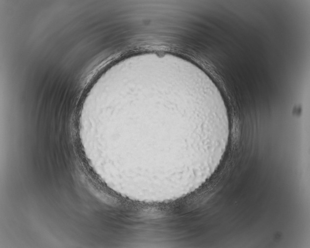 X0000114990390200912071121