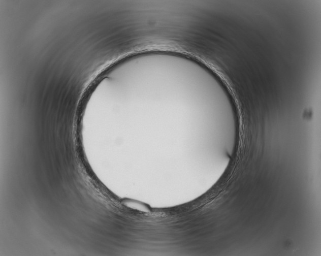 X0000114990391200912071121