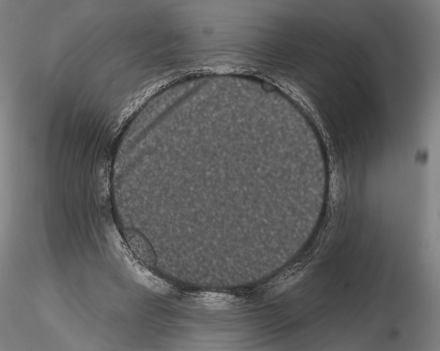 X0000114990393200912071121