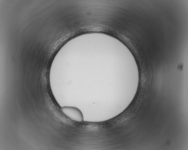 X0000114990394200912071121